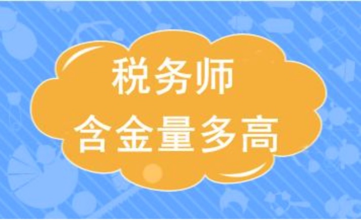 2019年税务师从业资格考试插图