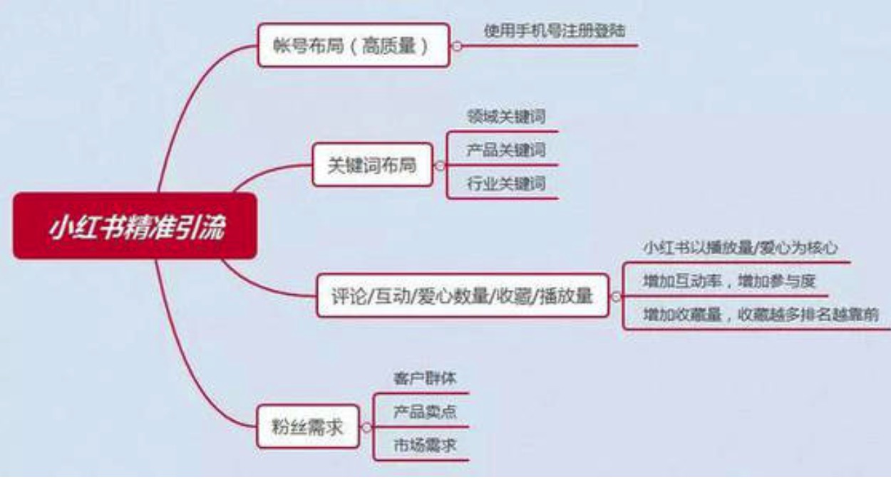 小红书增长训练营，21天小红书涨粉变现计划！插图