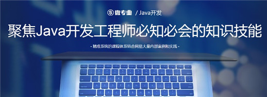 微专业 Java开发：聚焦Java开发工程师必知必会的知识技能