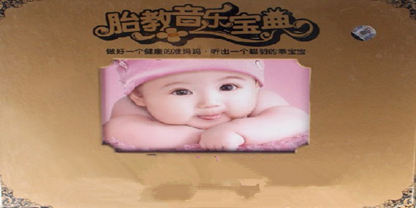 胎教音乐宝典：280天音乐全方案