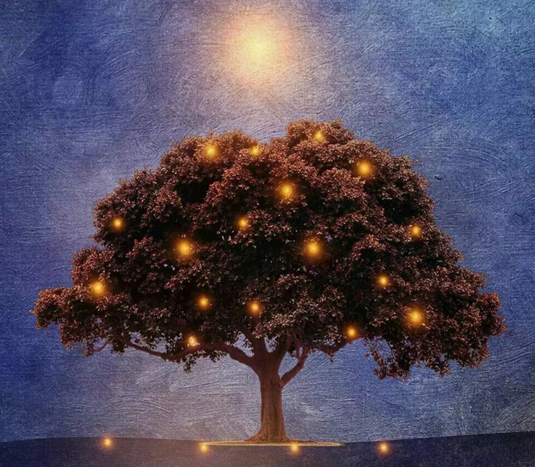 最美壁纸 | 233张全面屏手机2K壁纸满足你的需求