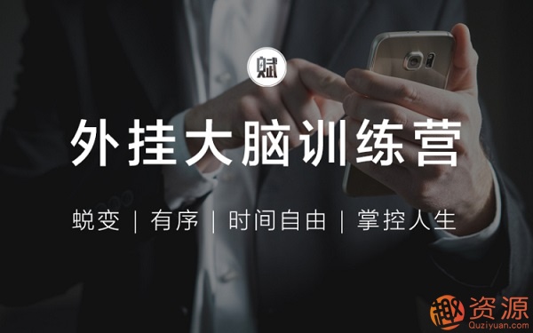 外挂大脑训练营_教程分享