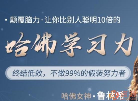 鲁林希哈佛学习力