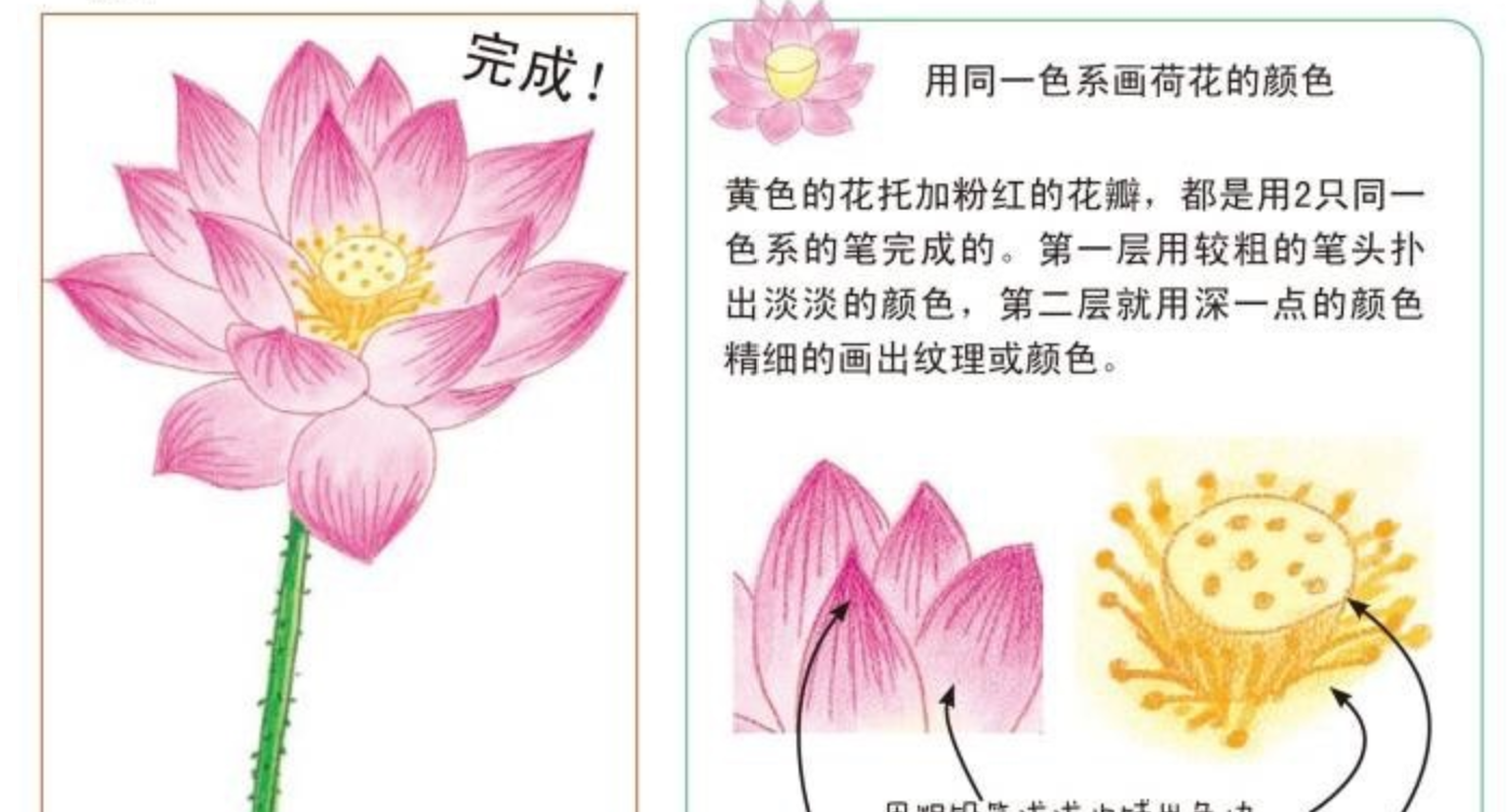 彩铅绘画技巧图文教程