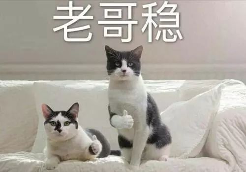 高效学习神器：千呼万唤的Anki教程！