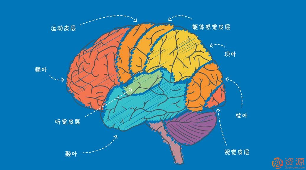 20个心理学颠覆实验插图