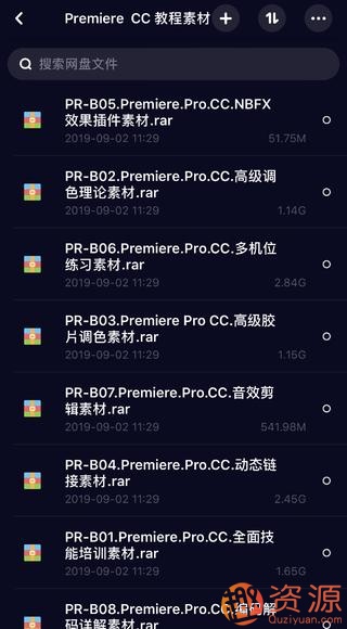 Win系统Mac系统pr和au软件包 ,豪华大礼包，各类视频素材插图3