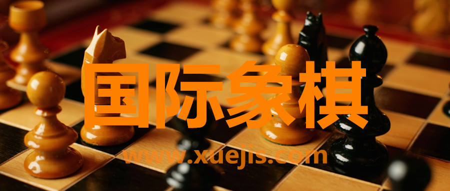 国际象棋视频教程  百度网盘