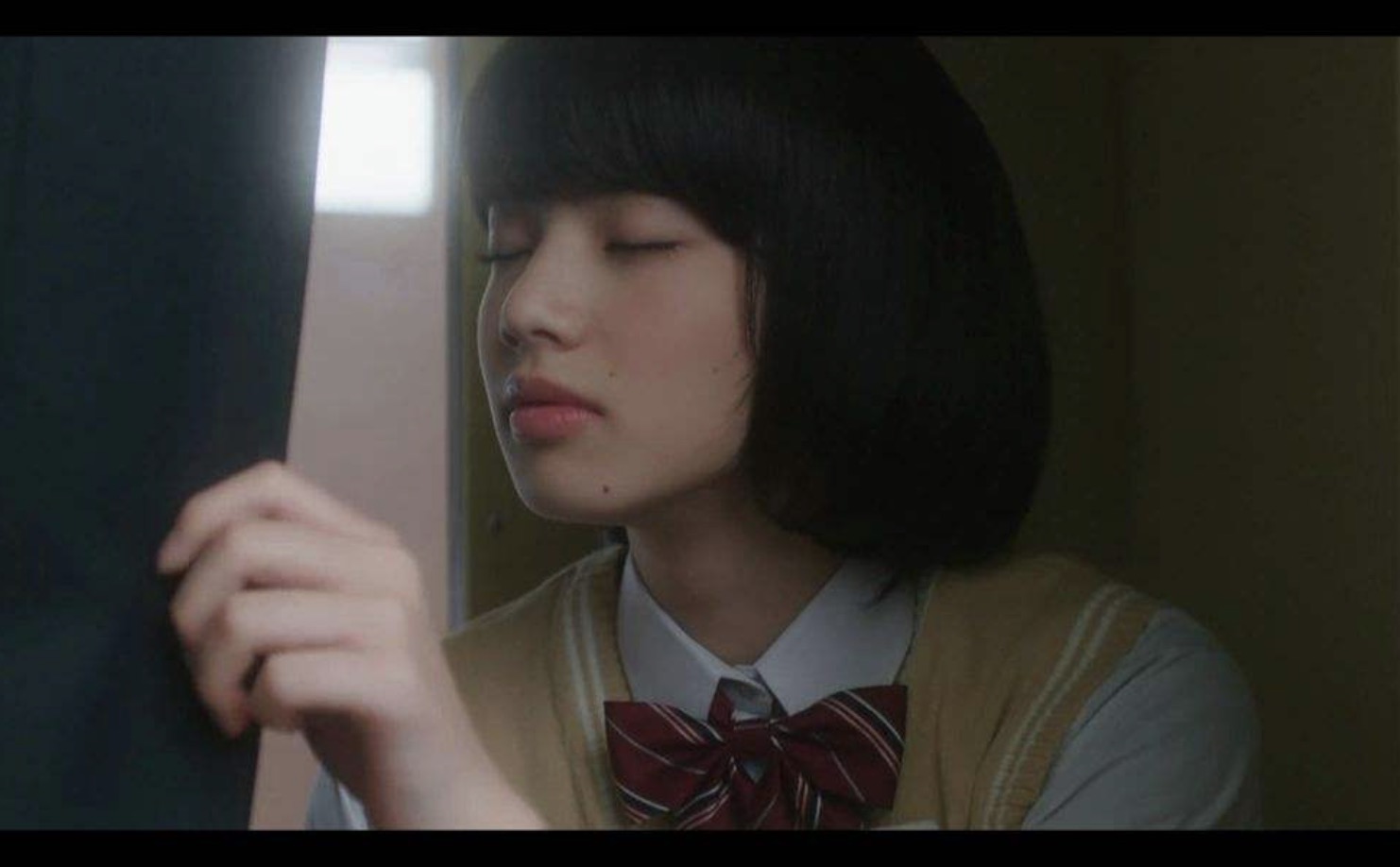 蓝色答案3.0（含2.0）【视频+音频】 百度网盘