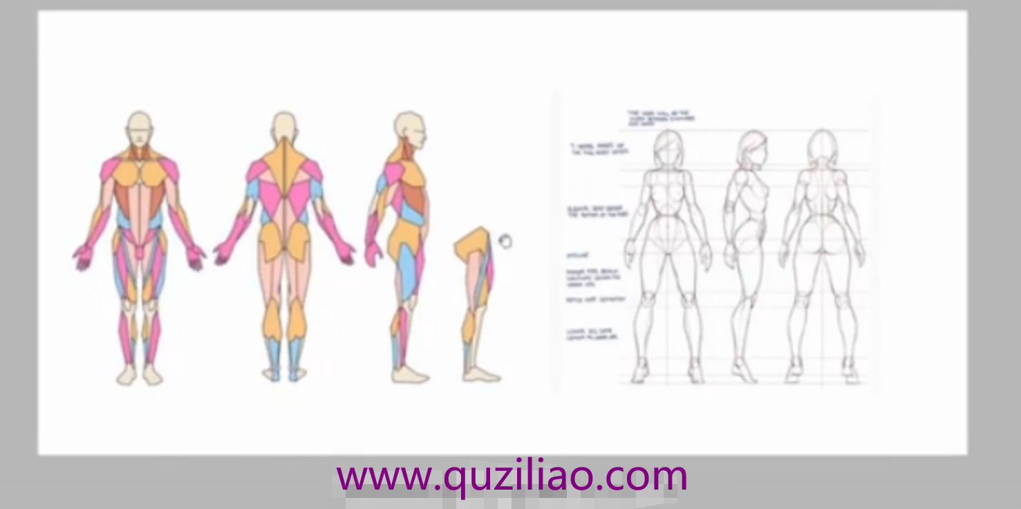插画师必备基础理论「视频」 百度网盘