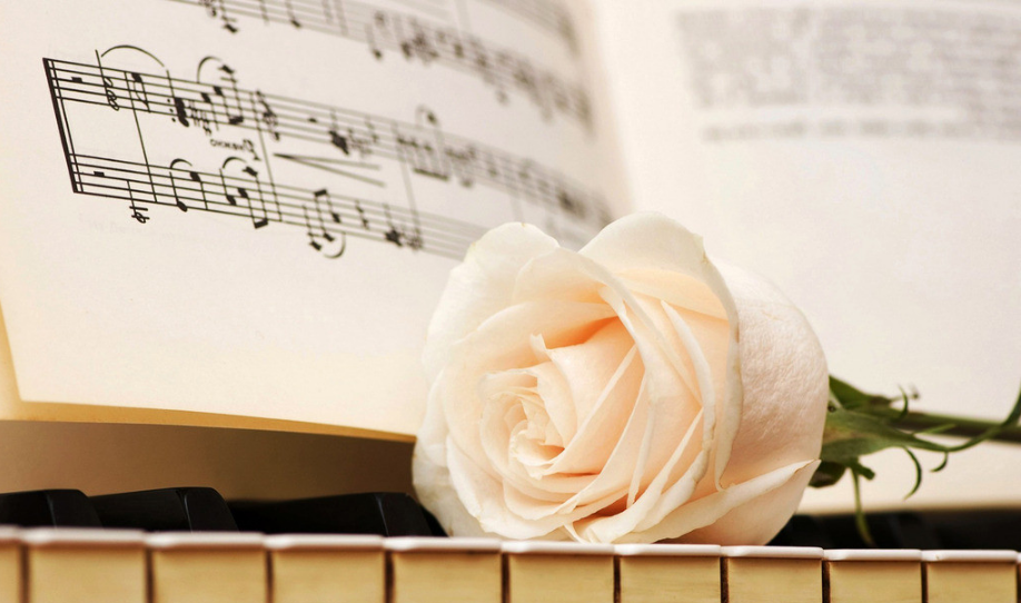 基础乐理知识教程分享合集 百度网盘