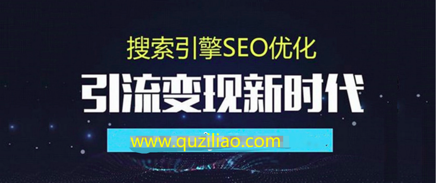 搜索引擎优化总监实战 百度网盘