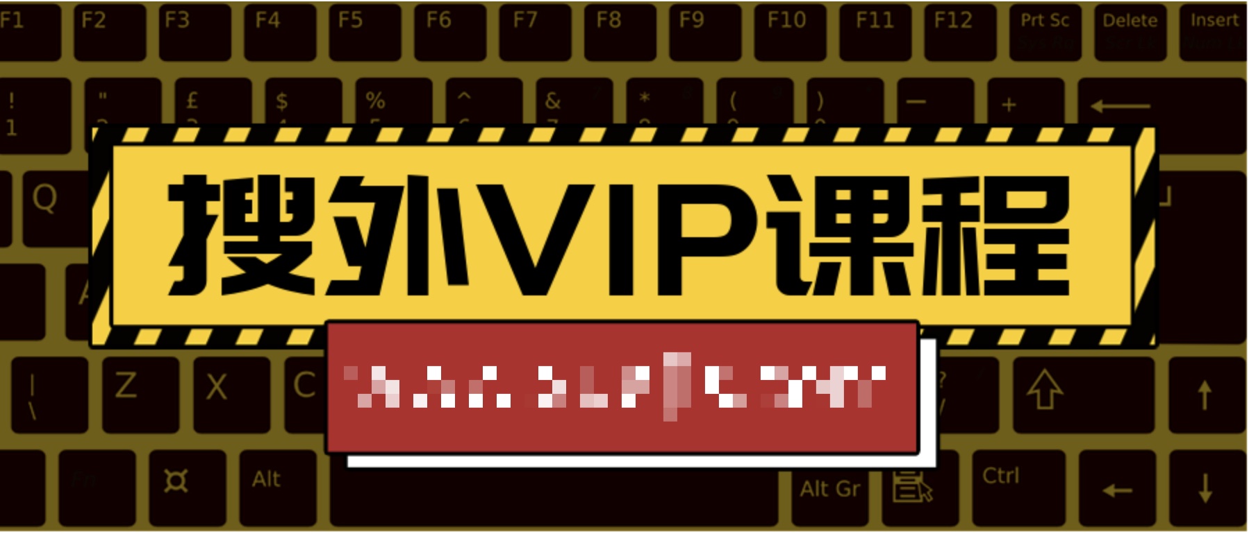 搜外VIP课程  百度网盘