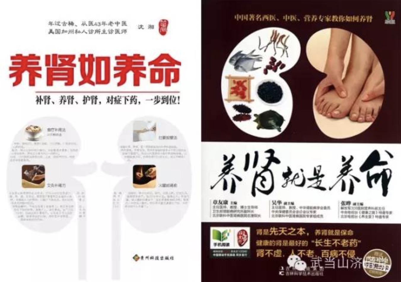 武当山济肾堂强肾七式 百度网盘插图2