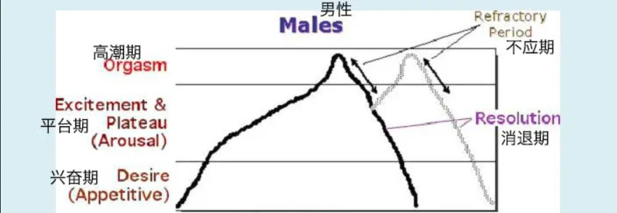 令人迷惑的“贤者模式”，抽搐后索然无味插图1