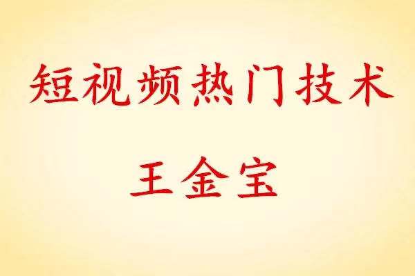王金宝短视频热门技术百度网盘分享 百度网盘插图