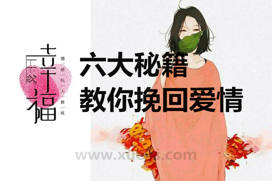 幸福上上签：六大秘籍教你挽回爱情  百度网盘插图