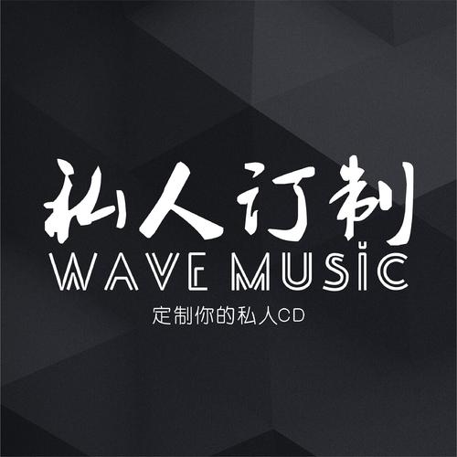 车载音乐抖音热门歌曲大合集U盘128GB 百度网盘插图