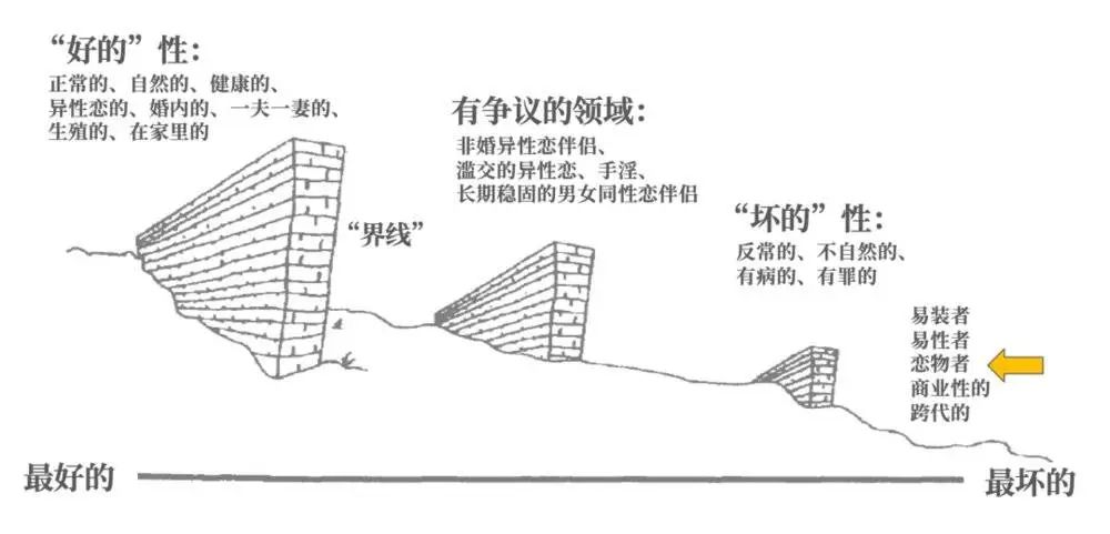 小姐研究二十年插图7