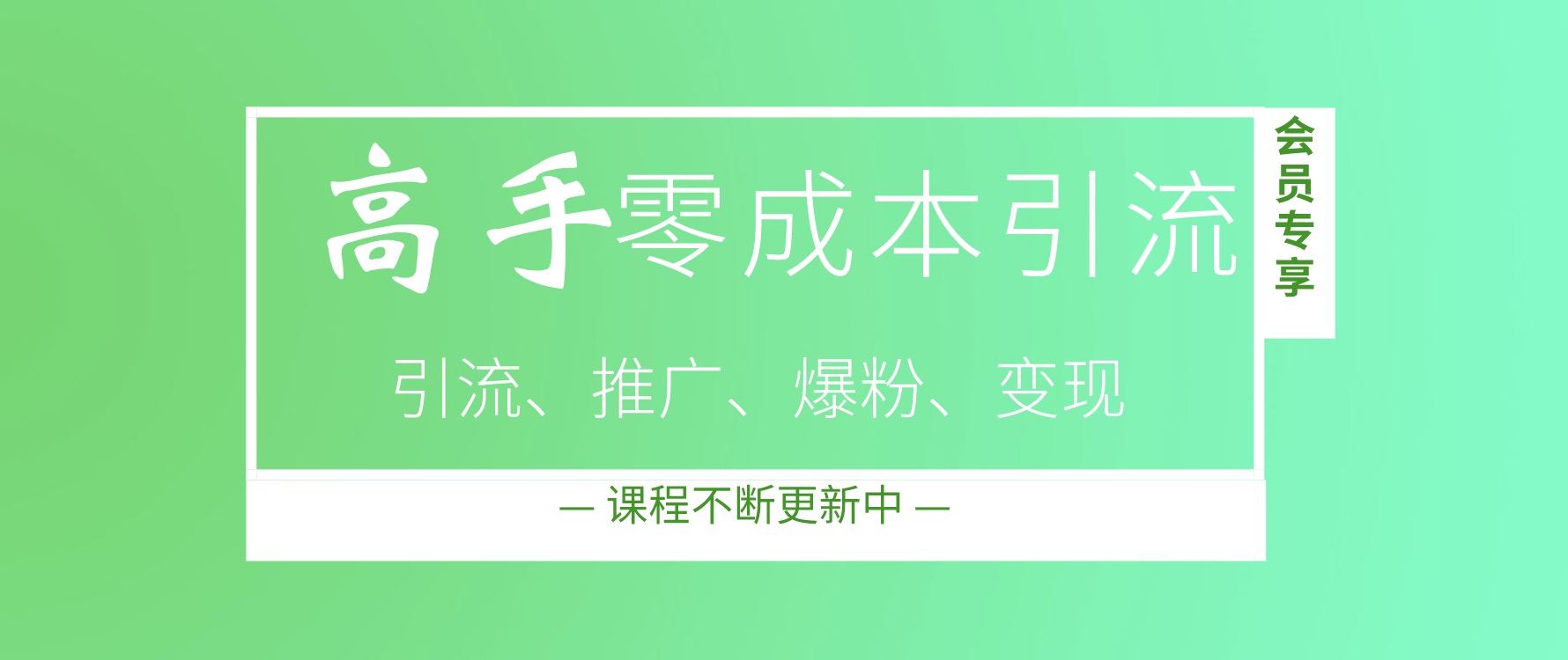 高手零成本引流秘籍和操作技巧，让你精准流量倍增 百度网盘插图