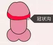 “二指螺旋训练法”让你早日摆脱5分钟运动插图2