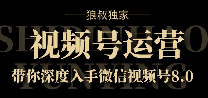 视频号运营实战课8.0-第1张图片-学技树 视频号运营实战课8.0-第1张图片-学技树