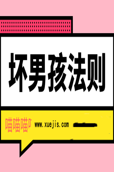 《坏男孩法则》PDF扫描版