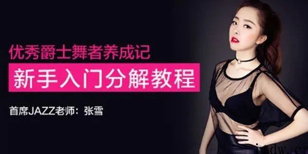 张雪优秀爵士舞者养成记，新手入门分解教程（完结）百度云分享_趣资料教程视频