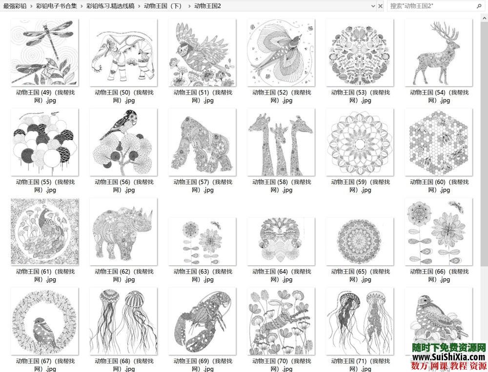 40G最强彩铅零基础入门到高手教学教程，包括大量电子书和绘画视频_趣资料视频资源插图8