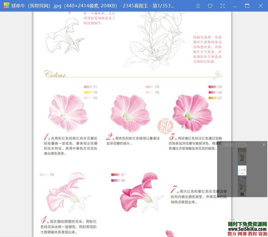 40G最强彩铅零基础入门到高手教学教程，包括大量电子书和绘画视频_趣资料视频资源插图7