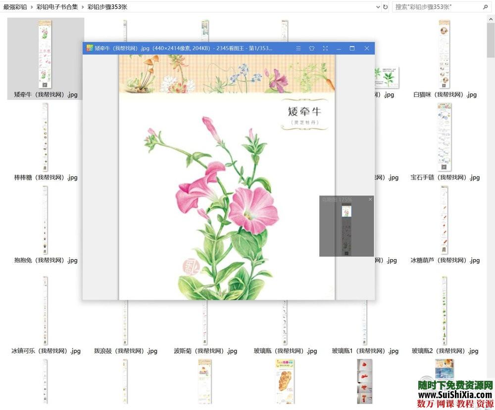 40G最强彩铅零基础入门到高手教学教程，包括大量电子书和绘画视频_趣资料视频资源插图6