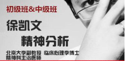 徐凯文精神分析取向心理治疗初中级 百度云分享_趣资料教程视频