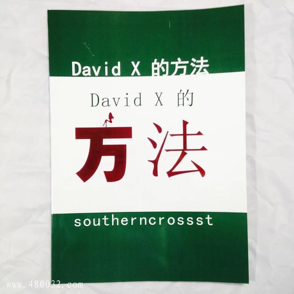 《David+X方法》PDF扫描版_百度云网盘资源教程
