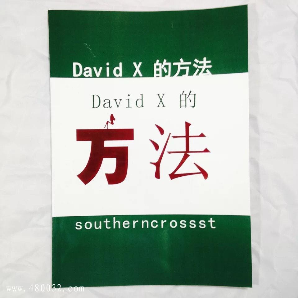 《David+X方法》PDF扫描版_百度云网盘资源教程插图