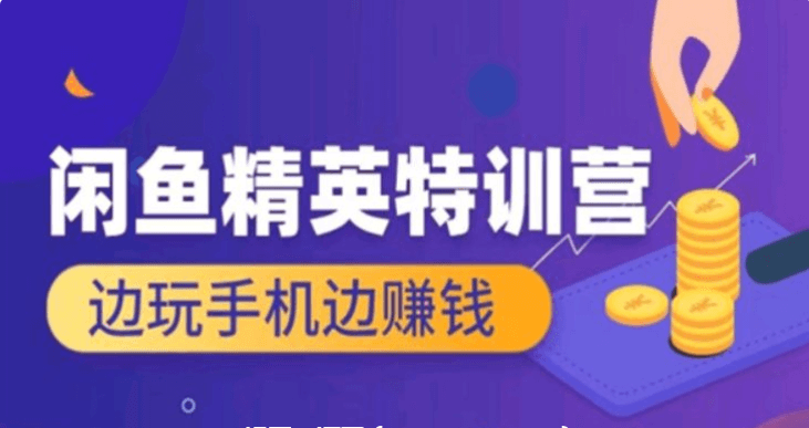 翼牛学堂：闲鱼精英特训营进阶班，边玩手机边赚钱价值4999元-百度云网盘教程视频插图