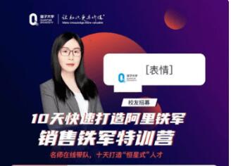销售铁军训练营·10天快速打造阿里铁军价值899元-百度云网盘资源教程