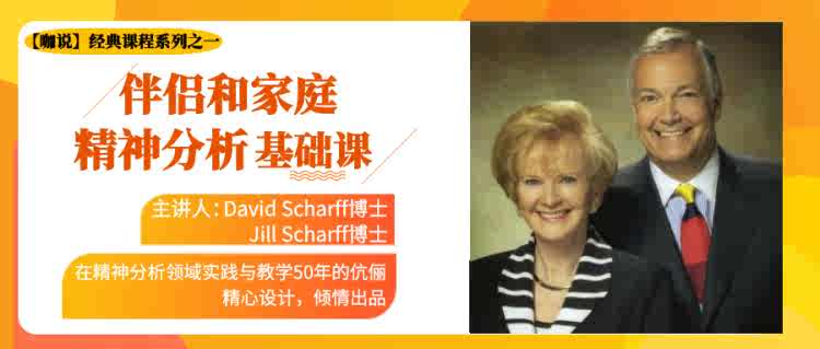 《咖说》经典课 伴侣和家庭精神分析基础课_百度云网盘视频课程