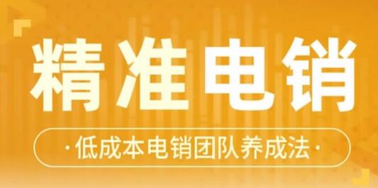 张搏《精准电销》电话销售技巧，低成本电销团队养成法_百度云网盘资源教程插图