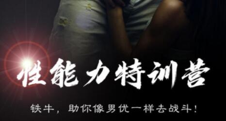 铁牛7能力训练营百度云网盘视频教程