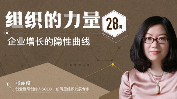 张丽俊《组织的力量28讲》企业增长的隐性曲线_百度云网盘教程资源