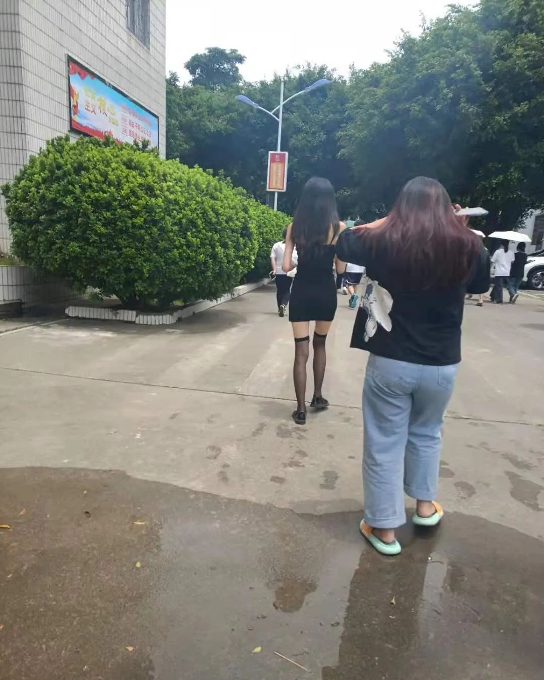这么多老师有你认识的？插图7