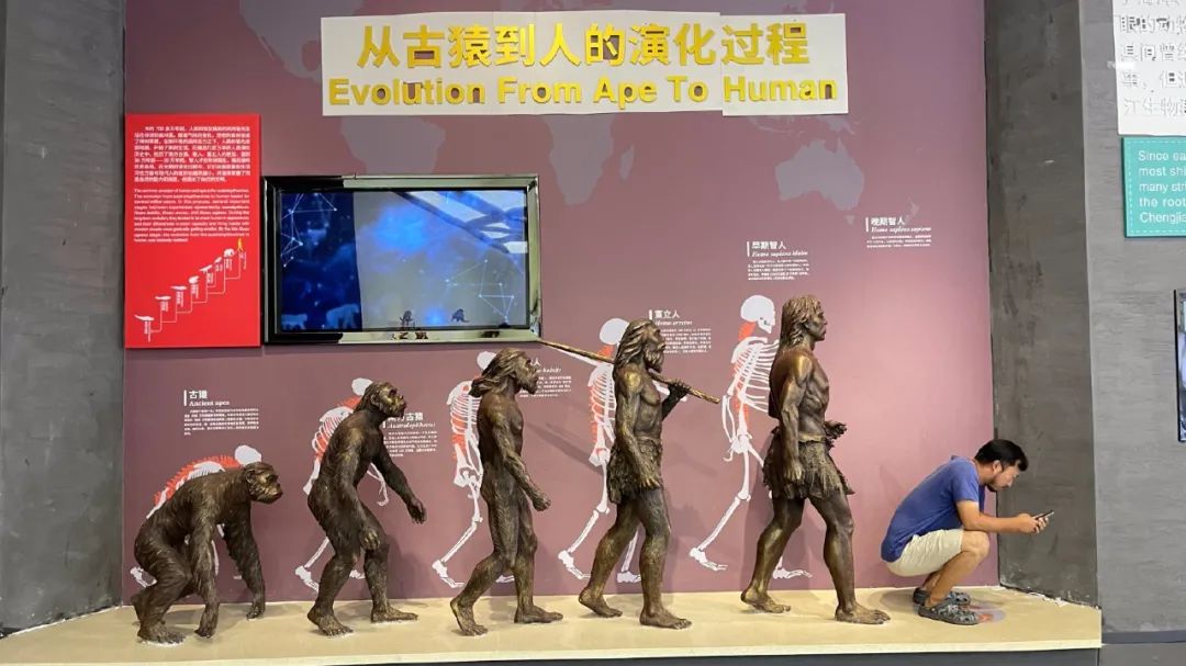 纯路人，请问这就是天堂吗？插图7