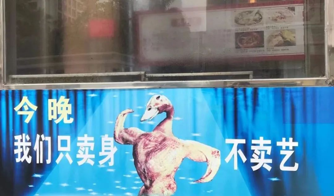 纯路人，请问这就是天堂吗？插图11