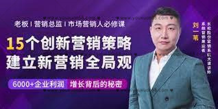 刘一苇《15个创新营销策略：建立新营销全局观》（15讲）_百度云网盘视频教程