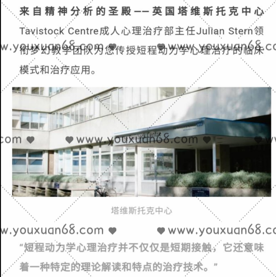 塔维斯托克短程动力学治疗十二讲网络课程 全套资料_百度云网盘教程视频
