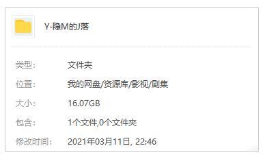 国产剧《隐秘的角落》全12集+番外国语中字