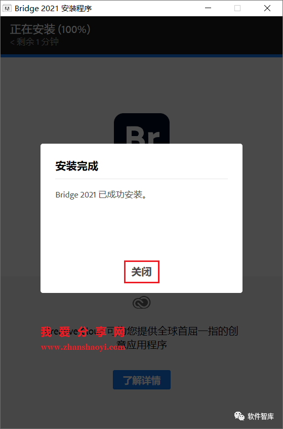 Br2021中文版软件分享和安装教程插图5