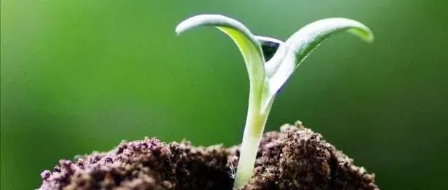 个人成长比赚钱更重要