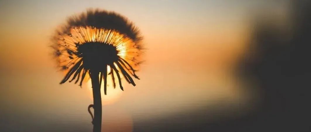 放下执念，愉快搞钱