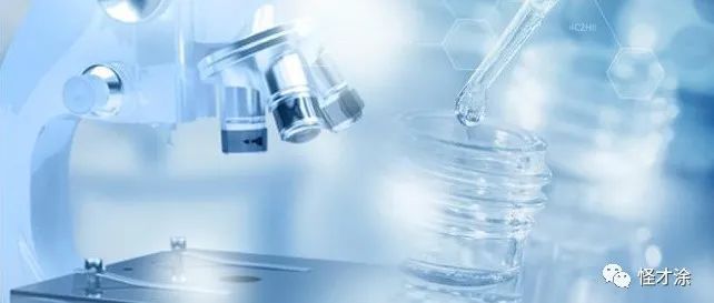 同行业竞争对手分析